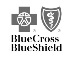 Blue Cross Blue Shield